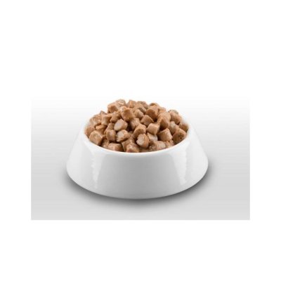 Booster Chunks With Chicken,Turkey & Carrots 415g